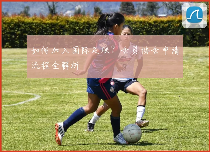 如何加入国际足联？会员协会申请流程全解析