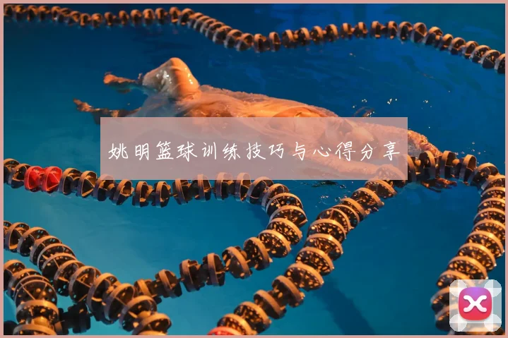 姚明篮球训练技巧与心得分享