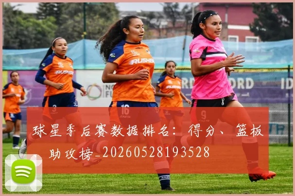 球星季后赛数据排名:得分、篮板、助攻榜_20260528193528